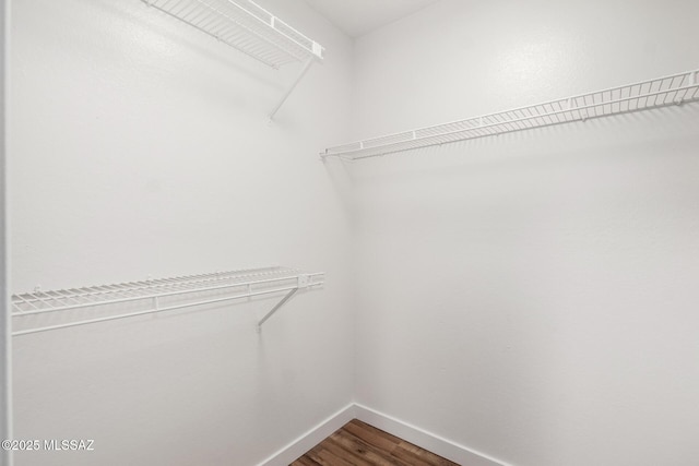 spacious closet with hardwood / wood-style floors