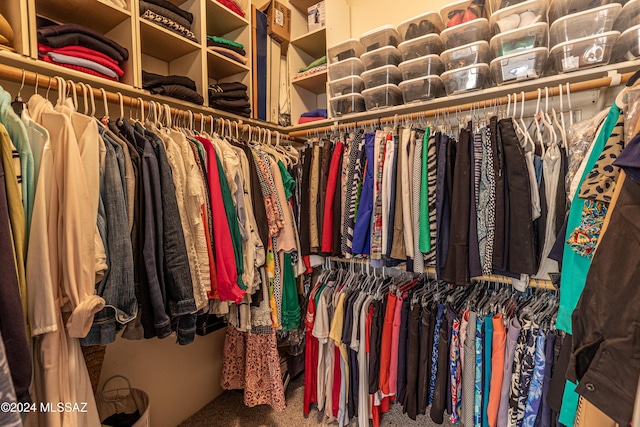 view of spacious closet