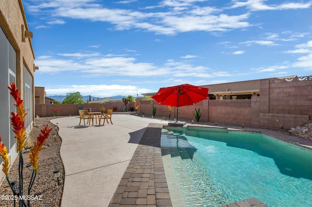 view of pool featuring a patio