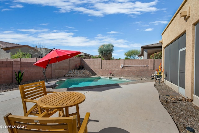 view of swimming pool with a patio