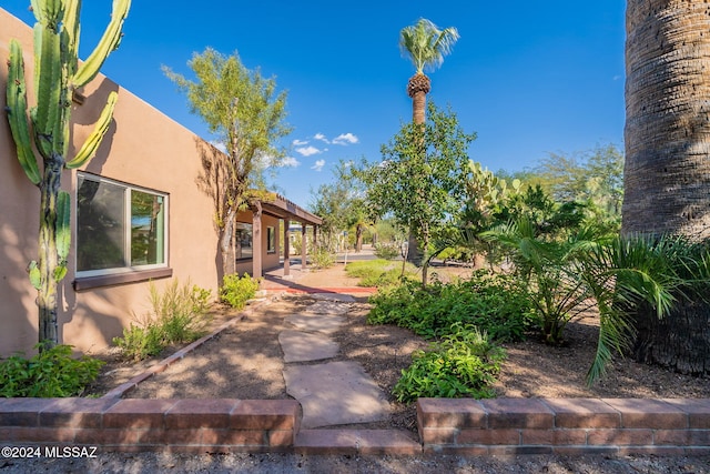 view of yard featuring a patio area