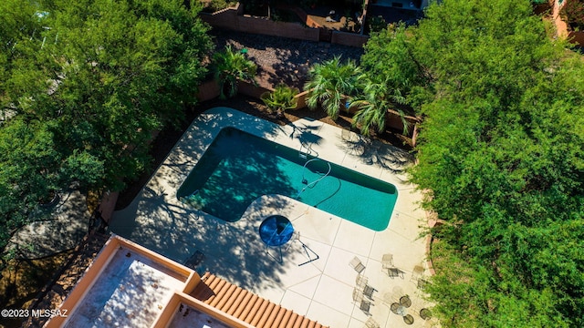 view of pool with a patio area