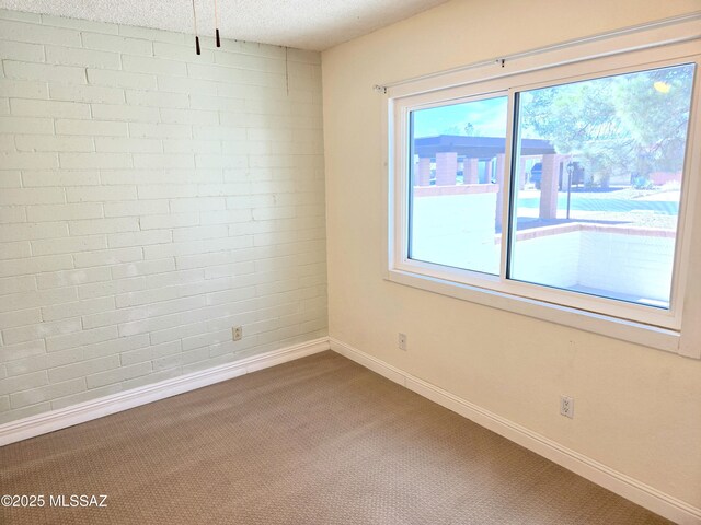 290 N Paseo De Los Conquistadores, Green Valley, AZ 85614 - carpeted spare room featuring a textured ceiling and baseboards