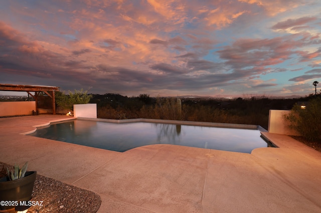 view of pool with a patio area and an infinity pool