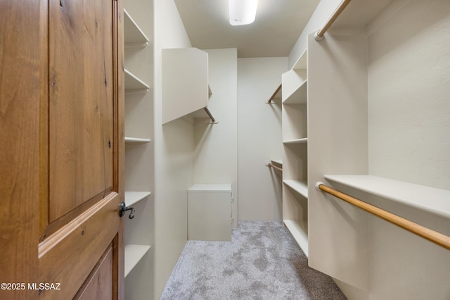 walk in closet featuring light colored carpet