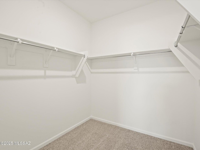 spacious closet with carpet floors