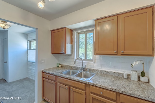 kitchen with light carpet, sink, and a healthy amount of sunlight