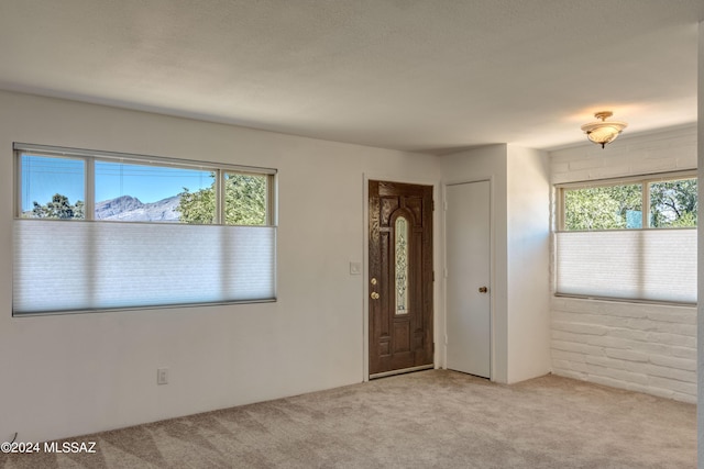 carpeted empty room featuring a mountain view and a wealth of natural light