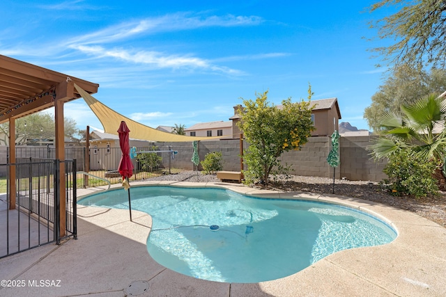 view of pool with a patio area