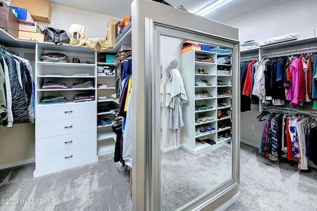 walk in closet featuring carpet floors