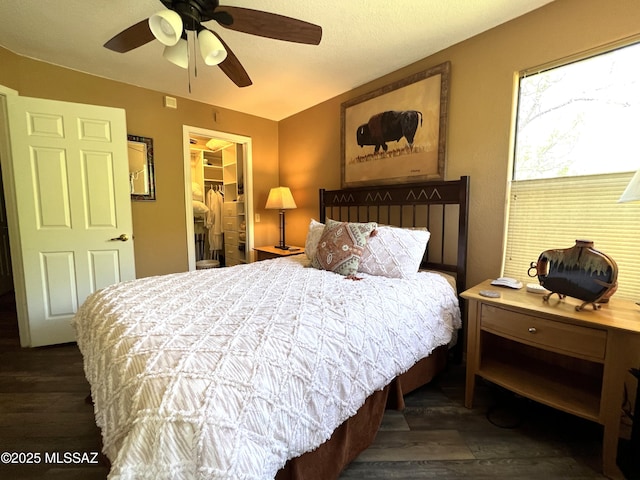 bedroom with a spacious closet, dark wood-type flooring, a closet, and ceiling fan