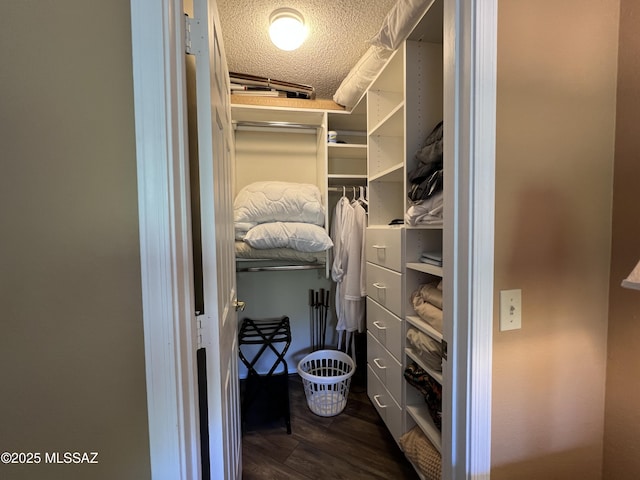 spacious closet featuring dark hardwood / wood-style flooring