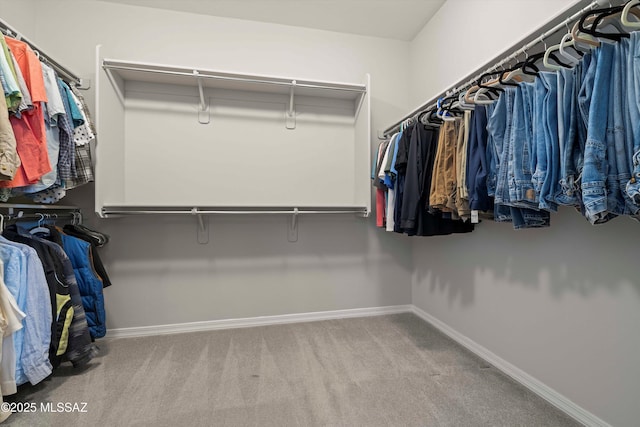 spacious closet featuring light carpet