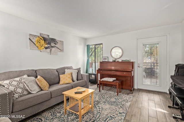 living room with light wood-type flooring