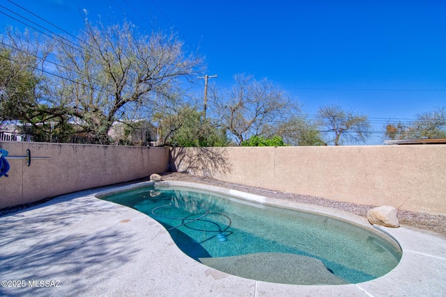 view of pool with a fenced in pool, a fenced backyard, and a patio area