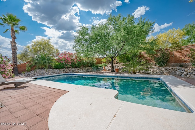 view of pool with a patio