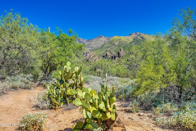 view of mountain feature