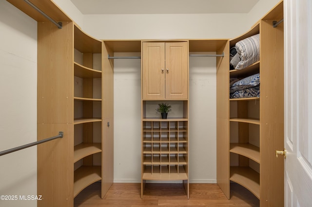 spacious closet featuring light wood-type flooring