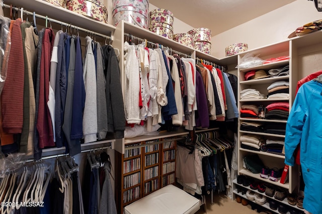 view of walk in closet