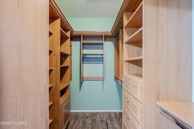 walk in closet featuring dark wood-type flooring