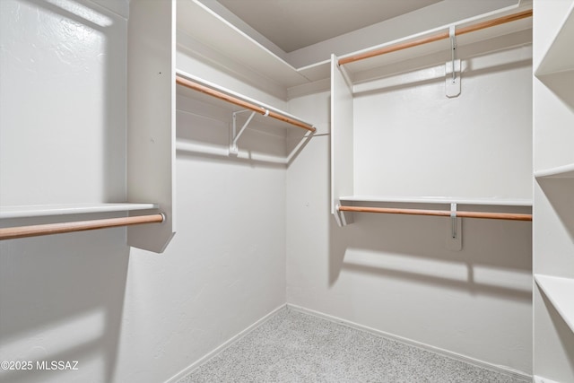 view of spacious closet