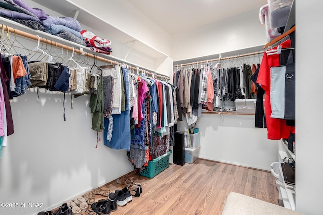 spacious closet featuring wood finished floors