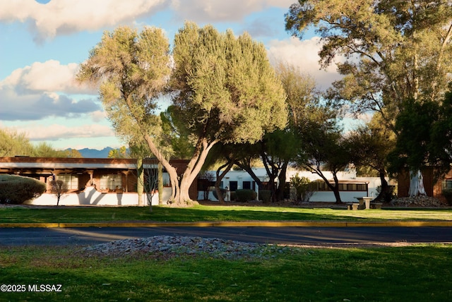 328 S Paseo Pena Unit C, Green Valley, AZ 85614 - view of property's community with a yard