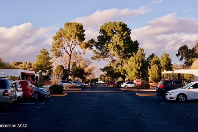 328 S Paseo Pena Unit C, Green Valley, AZ 85614 - view of road
