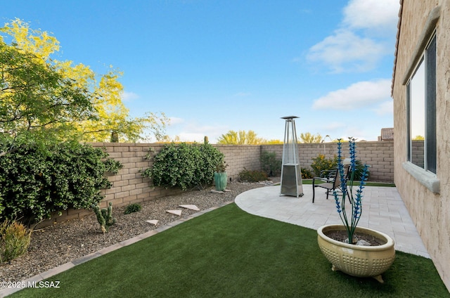 view of yard featuring a patio area and a fenced backyard