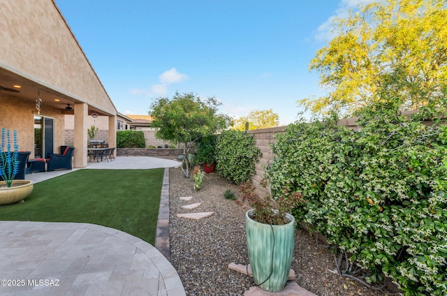 view of yard with a fenced backyard and a patio