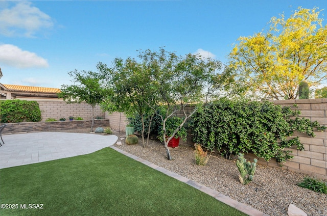view of yard with a patio area and a fenced backyard