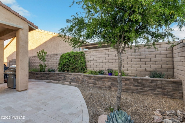 view of yard featuring a fenced backyard and a patio