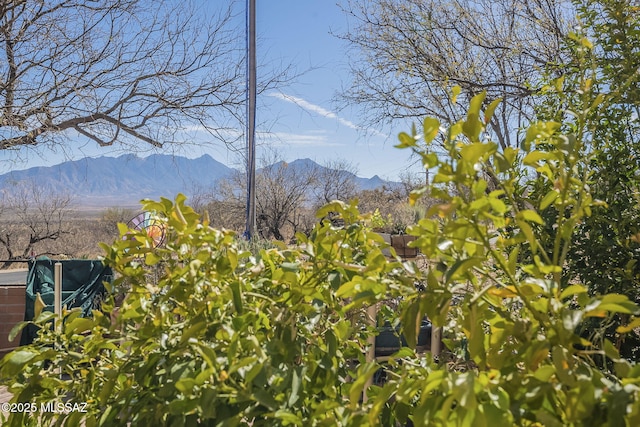 3910 S Via Del Ruisenor, Green Valley, AZ 85622 - mountain view