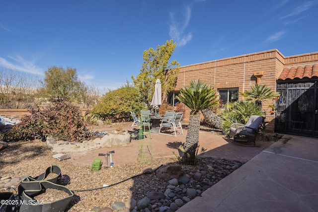 3910 S Via Del Ruisenor, Green Valley, AZ 85622 - view of yard featuring a patio
