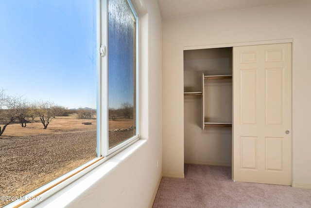 view of closet