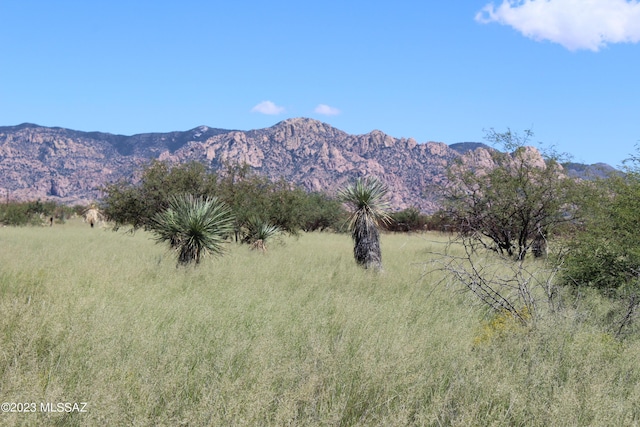 00 E Cochise Trl Unit 42, Saint David AZ, 85630 land for sale