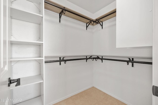 view of spacious closet