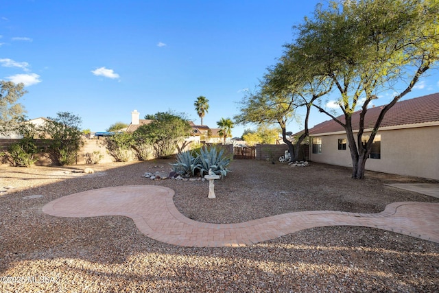 view of yard featuring a patio