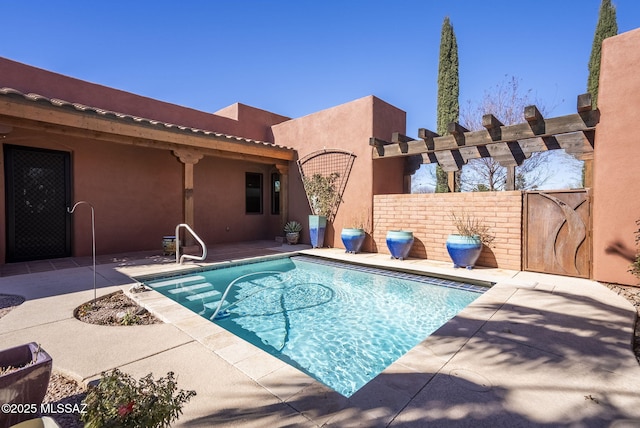 view of pool featuring a patio