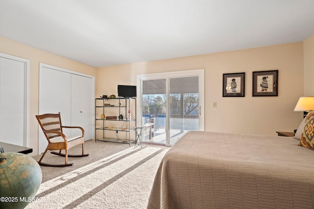 bedroom with carpet flooring and access to exterior