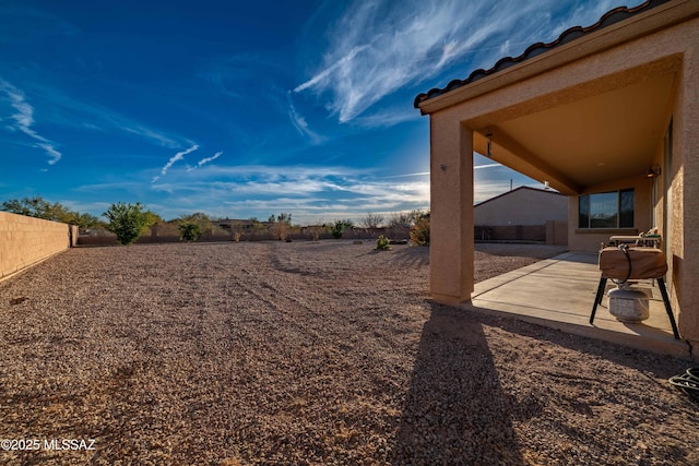 view of yard featuring a patio area