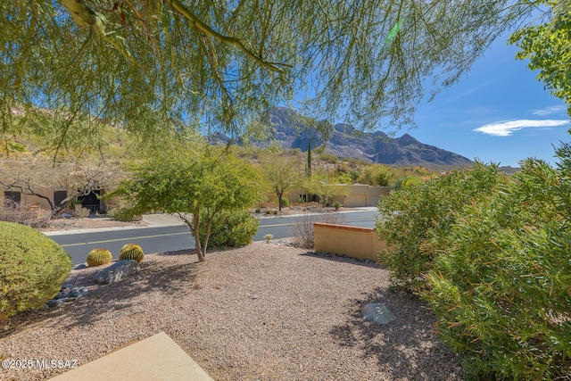 view of yard with a mountain view