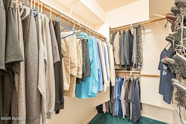 view of spacious closet