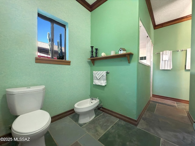 bathroom featuring a bidet, ornamental molding, and toilet