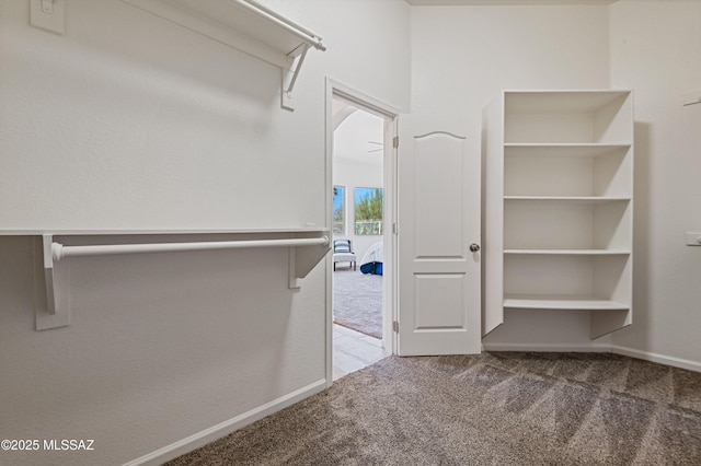 spacious closet with carpet floors