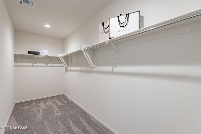 spacious closet with carpet floors