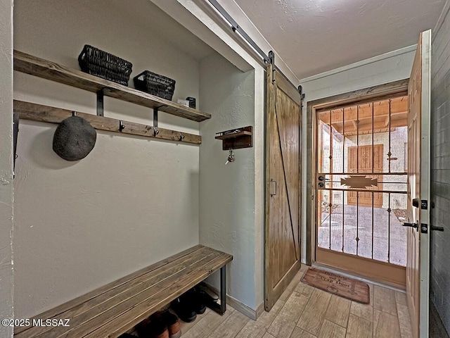 mudroom featuring a wealth of natural light, a barn door, and light wood-type flooring