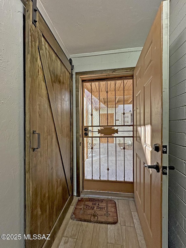 entryway featuring plenty of natural light, a barn door, and light wood-type flooring