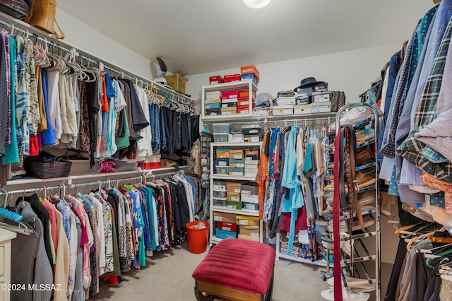 walk in closet with carpet flooring