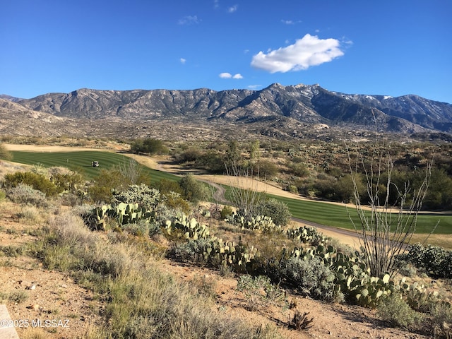 view of mountain feature